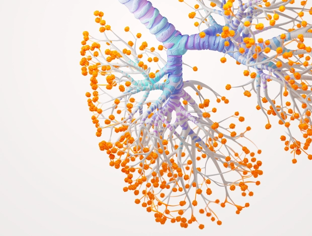 Lungs Science Image